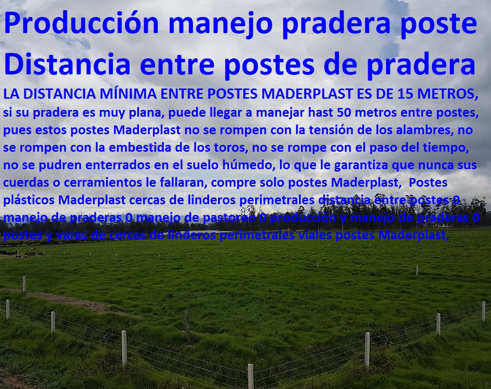 Postes plásticos Maderplast cercas de linderos perimetrales distancia entre postes 0 manejo de praderas 0 manejo de pastoreo 0 producción y manejo de praderas 0 postes y varas de cercas de linderos perimetrales vial Postes plásticos Maderplast cercas de linderos perimetrales distancia entre postes 0 manejo de praderas 0 manejo de pastoreo 0 producción y manejo de praderas 0 postes y varas de cercas de linderos perimetrales vial Postes plásticos Maderplast cercas de linderos perimetrales distancia entre postes 0 manejo de praderas 0 manejo de pastoreo 0 producción y manejo de praderas 0 postes y varas de cercas de linderos perimetrales vial